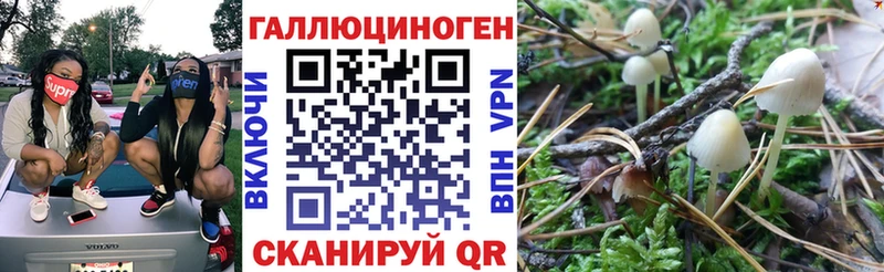 Галлюциногенные грибы мицелий как найти наркотики mega tor Сальск