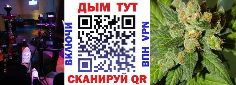 Конопля гибрид  как найти закладки  Сальск 
